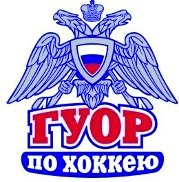 ФГБУПОО «Государственное училище (техникум) олимпийского резерва по хоккею» ФГБУПОО «Государственное училище (техникум) олимпийского резерва по хоккею»